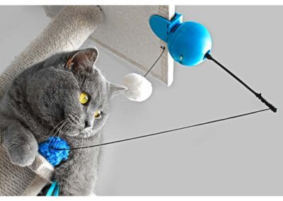 Foxy jouet chat yoyo autonome