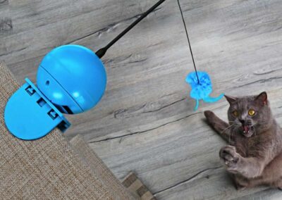 Foxy jeu chat yoyo autonome