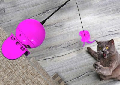 Foxy rose yoyo pour chat automatique