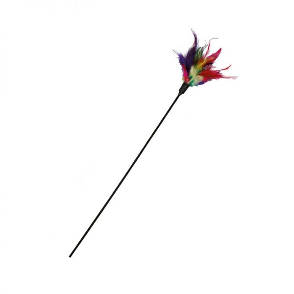 Plumeau pour chat multicolore