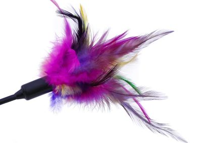 Plumeau multicolore pour chat