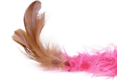 Canne à pêche peluche rose pour chat avec plume