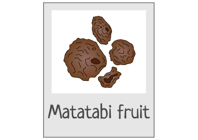 Pictogramme fruits de matatabi