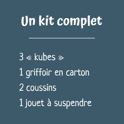 Katt3 cat cube un kit complet avec 3 cubes 1 griffoir en carton 2 coussins à mémoire de forme 1 jouet à suspendre