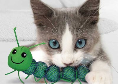 Chat joue avec chenille en tissus à maille contient catnip