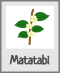 Picto contient du matatabi