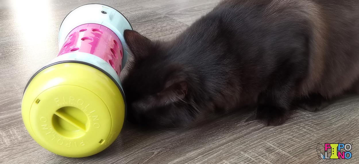 Pipolino distributeur mobile de croquettes pour chat - accessoire bien être et santé