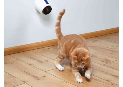 Jeu laser pour chat automatique et mural
