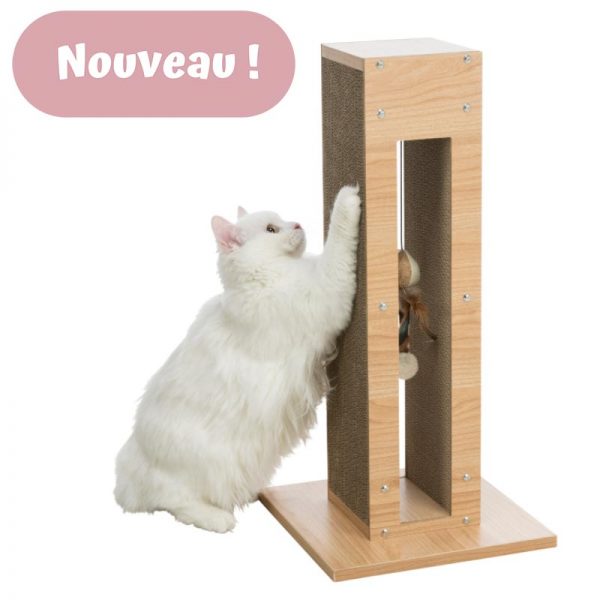 Griffoir design pour chat bois carton jouet suspendu