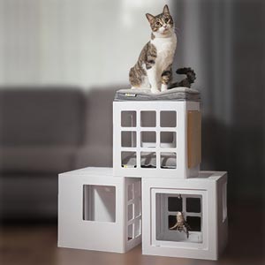 Katt3 maison modulaire pour chat
