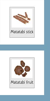 Pictogramme sticks et fruits matatabi pour chat
