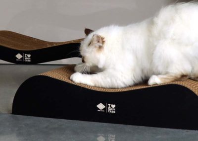Grand griffoir design pour grand chat good qualité et confort
