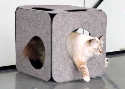 Aire de jeu pour chat cube feutre épais avec trous design