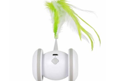 Racing Roller jouet motorisé chat USB