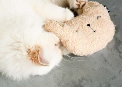 Zara grosse peluche tête de chat