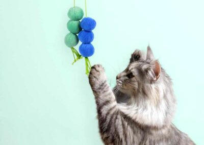 Dizzi Dangle balles peluche a suspendre pour chat