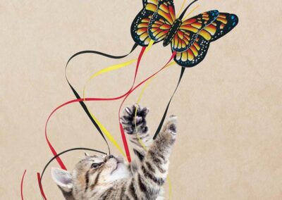 Butterfly cat teaser papillon jouet pour chat