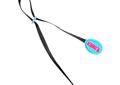 Cat Teaser Butterfly papillon avec boucle pour doigt