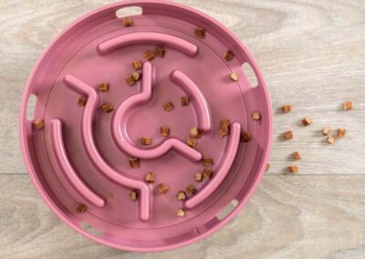 Rocking Maze bol distributeur snack chat labyrinthe jouet